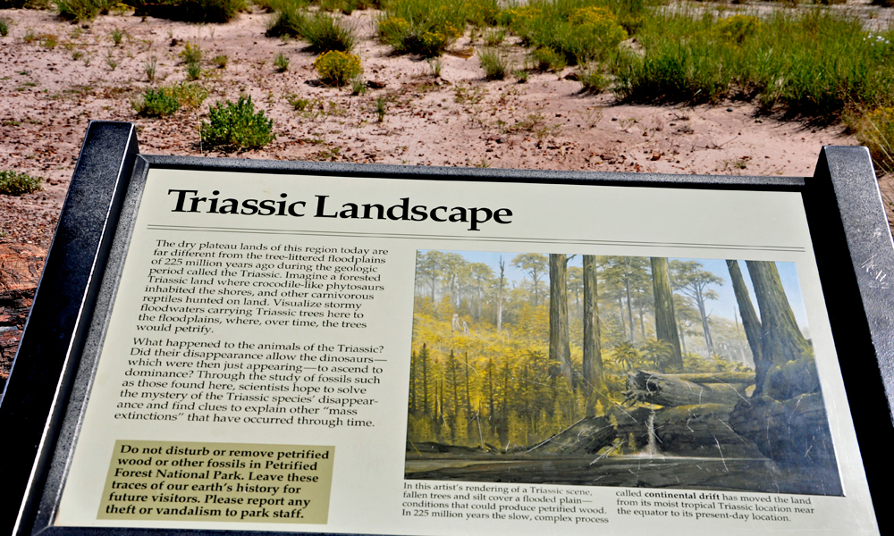 sign telling about the Triassic Landscape